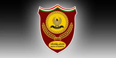 83-905x613