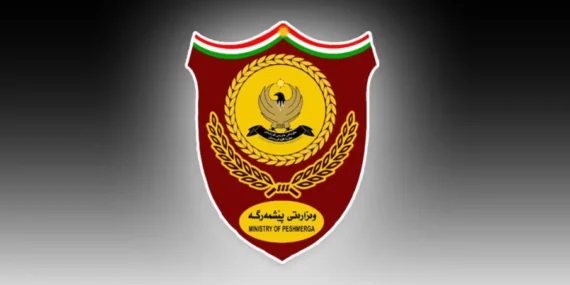83-905x613