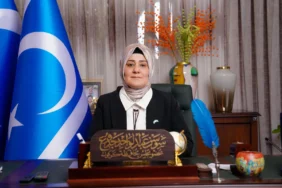 sevsen ceddu